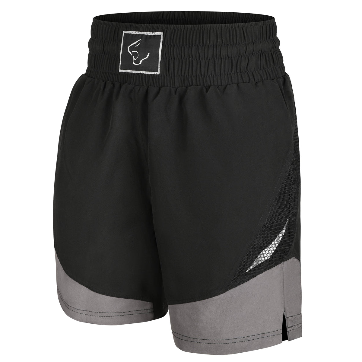 Titan Grip Legacy Boxing Shorts-0